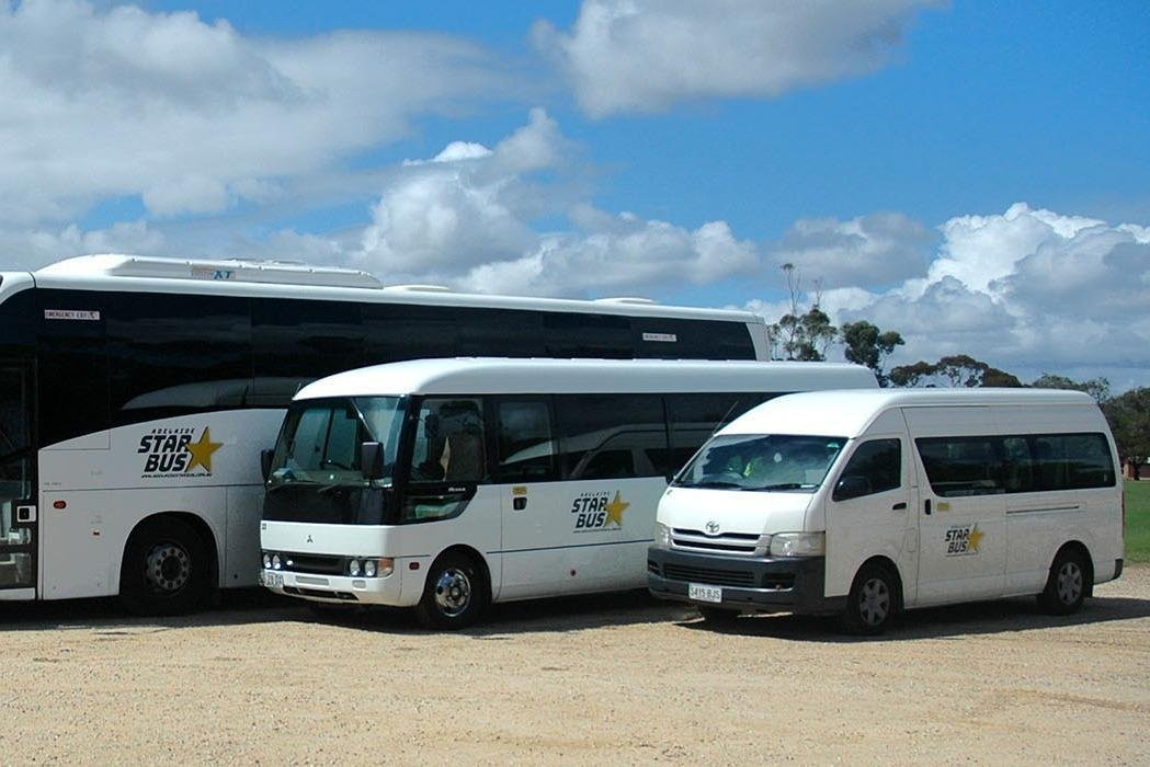 Adelaide Star Bus景点图片