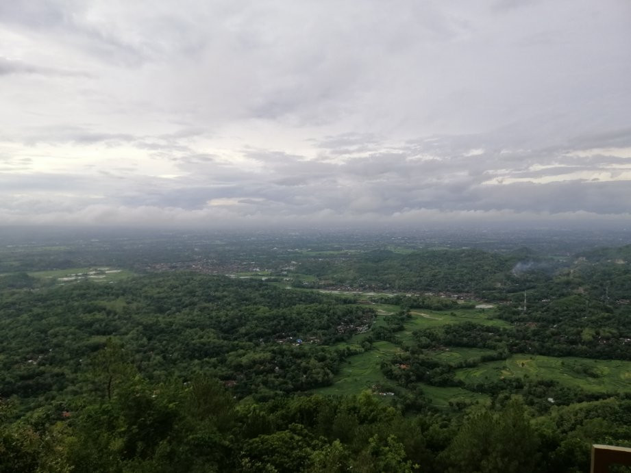 Hutan Pinus Bukit Becici景点图片