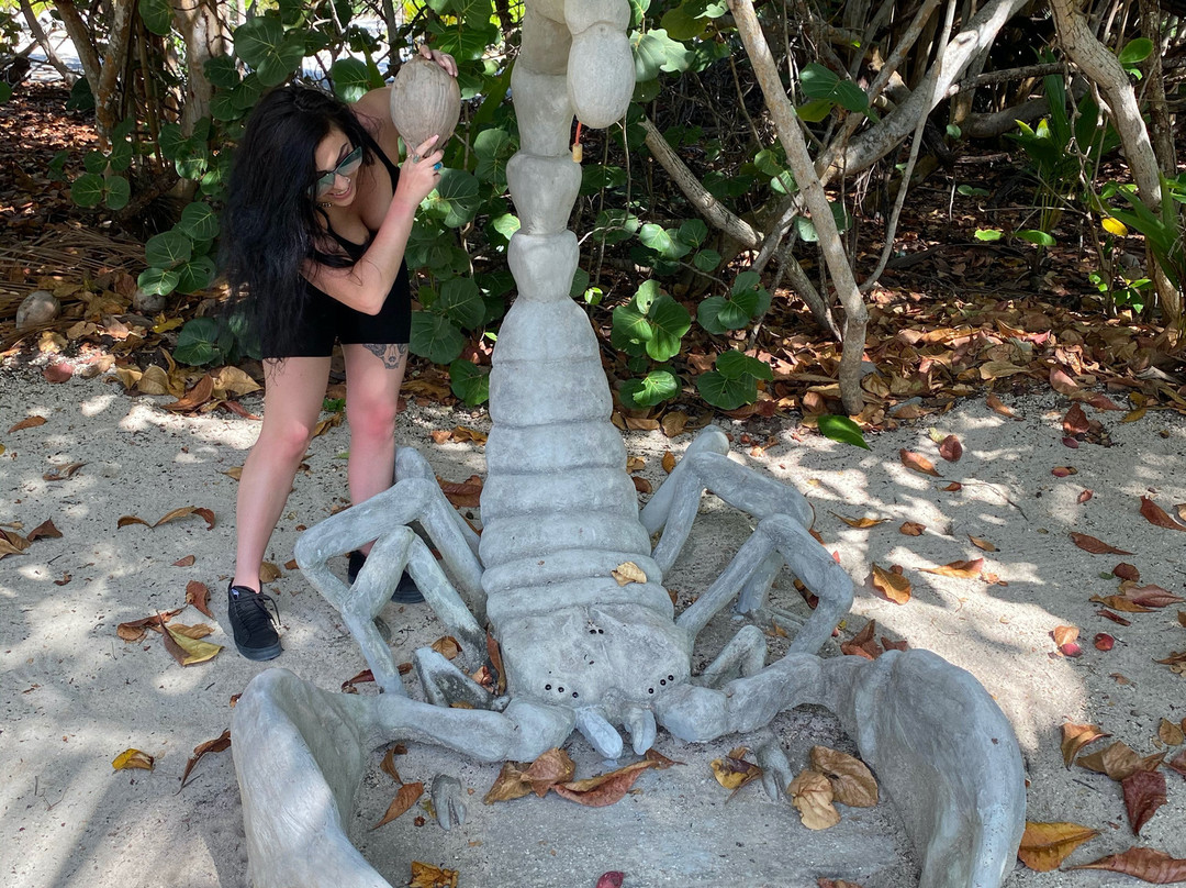 Davinoff's Concrete Sculpture Garden-Old Man Bay必去景点