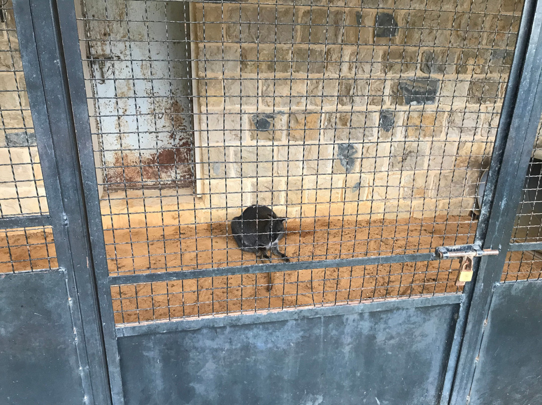 Ferme Mar Chaaya-Broummana必去景点