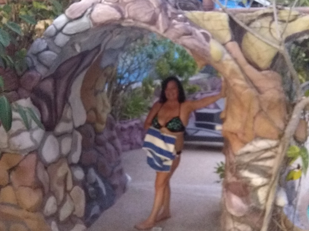 Polaris Beach and Dive Resort主图