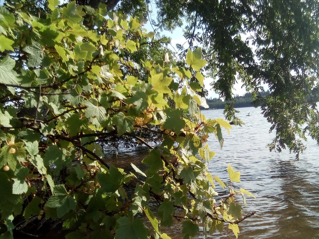 Hatanpää Arboretum-坦佩雷必去景点