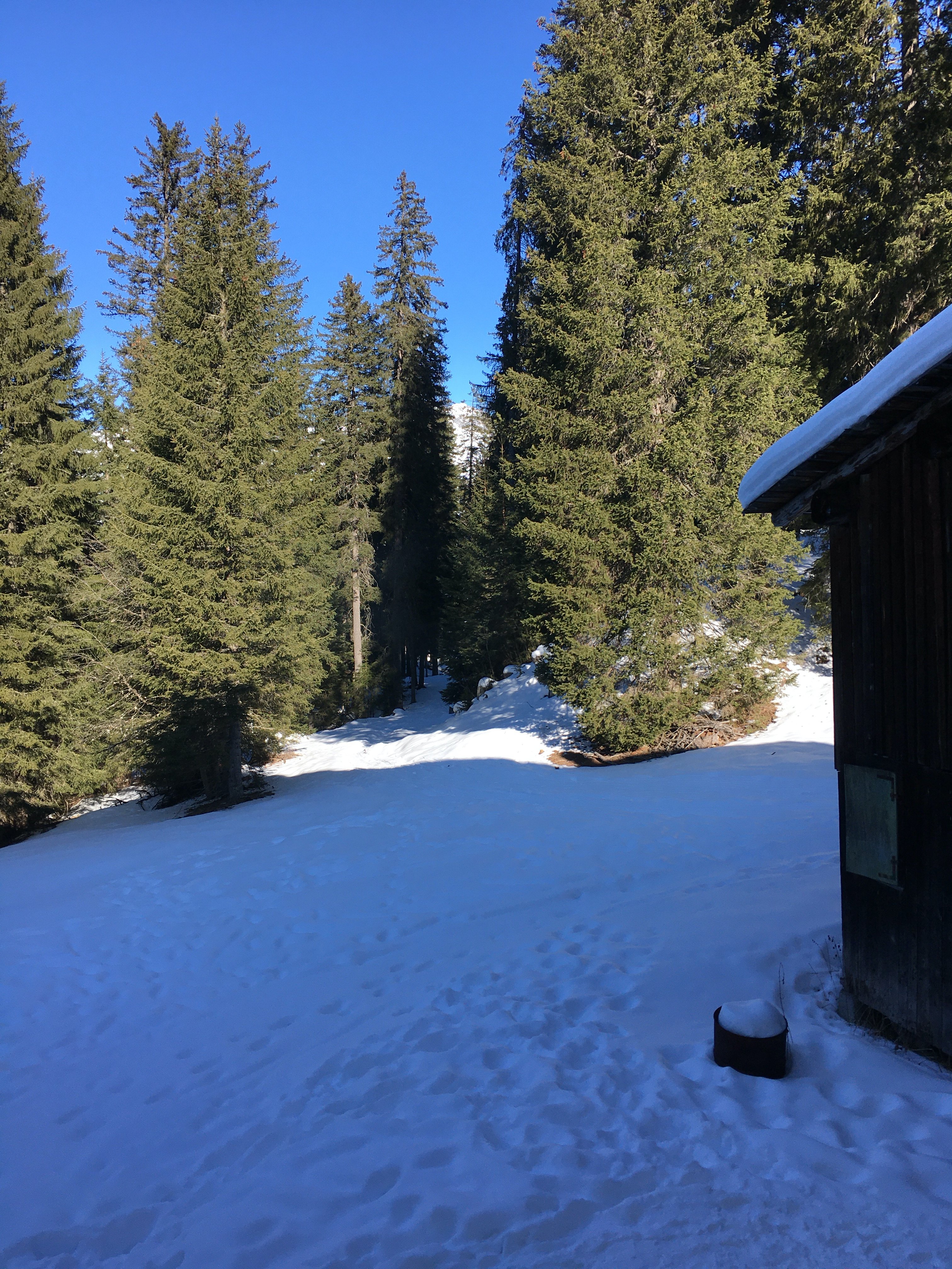 Bergrestaurant Schifer-酒店景观