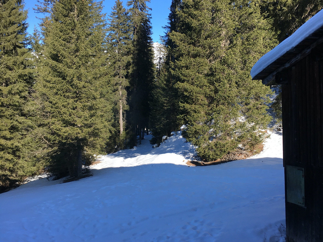 Bergrestaurant Schifer主图