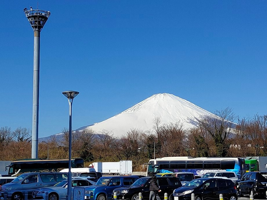 Ashigara Service Area Outbound Line-小山町必去景点