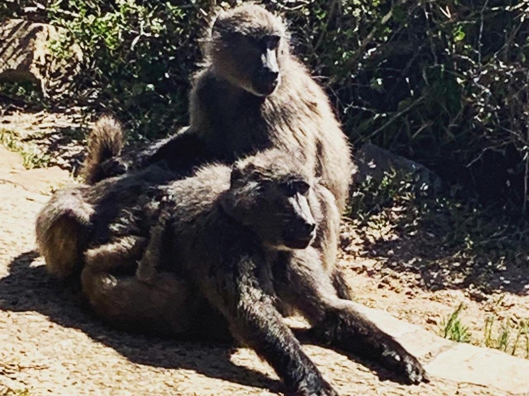 Boldman Travel-开普敦中心区必去景点