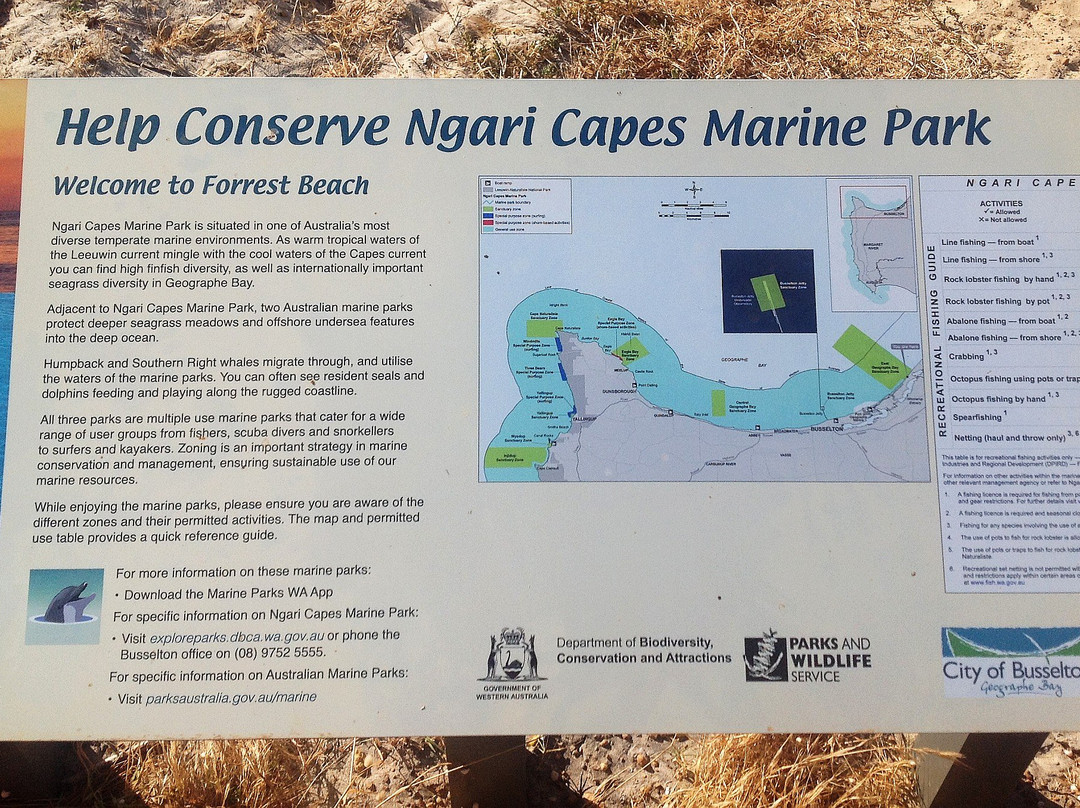 Forrest Beach-Capel必去景点