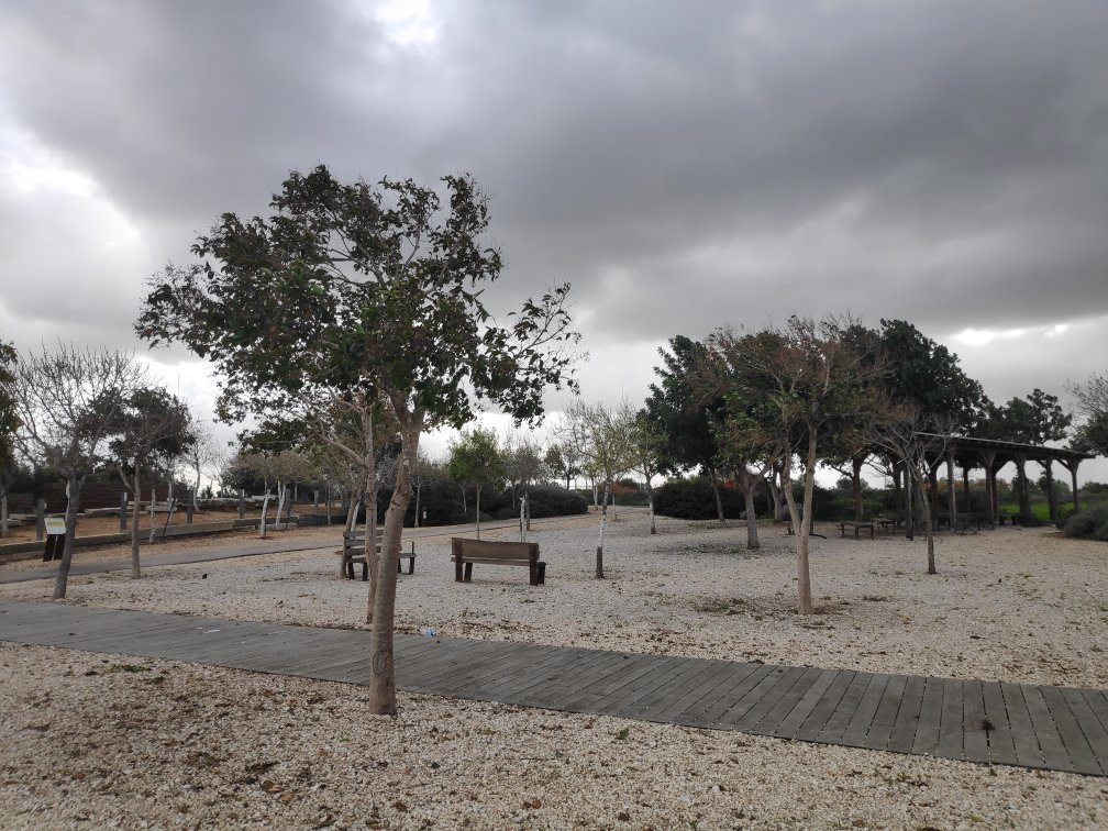 Ariel Sharon Park景点图片