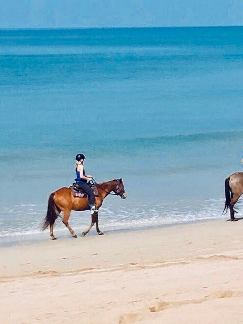 Khaolak Horse Club-拉克山必去景点