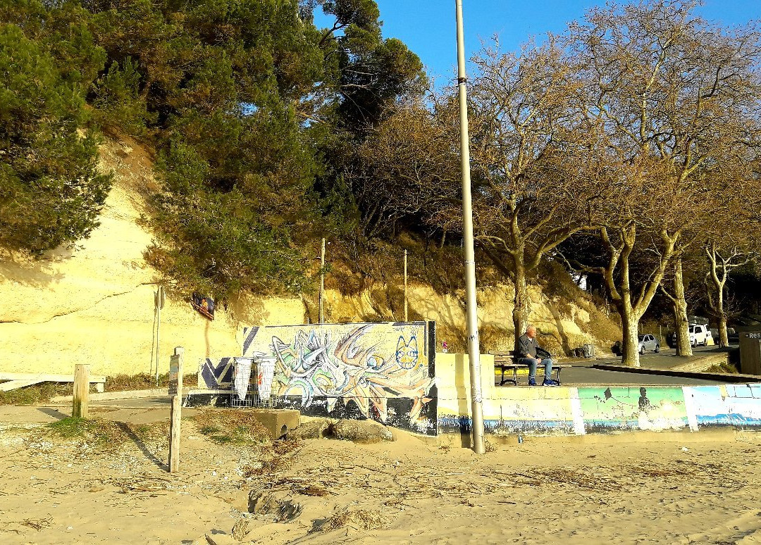 Plage Des Nonnes-Meschers-sur-Gironde必去景点