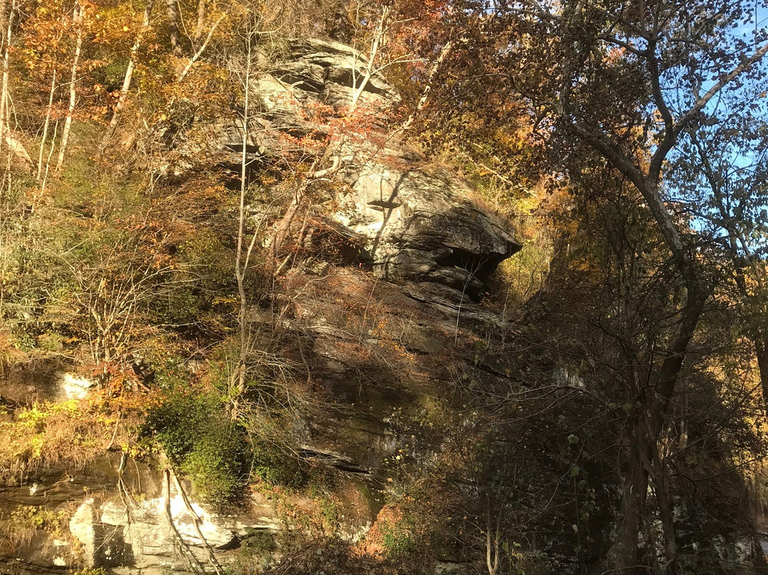 Melrose Falls-Saluda必去景点