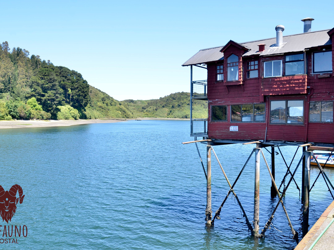 Hostal El Fauno主图