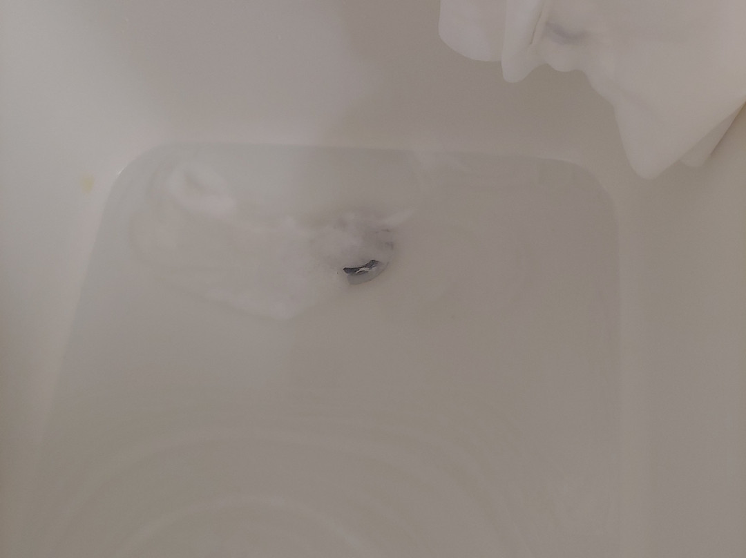 Hampton Inn Crystal River, FL主图