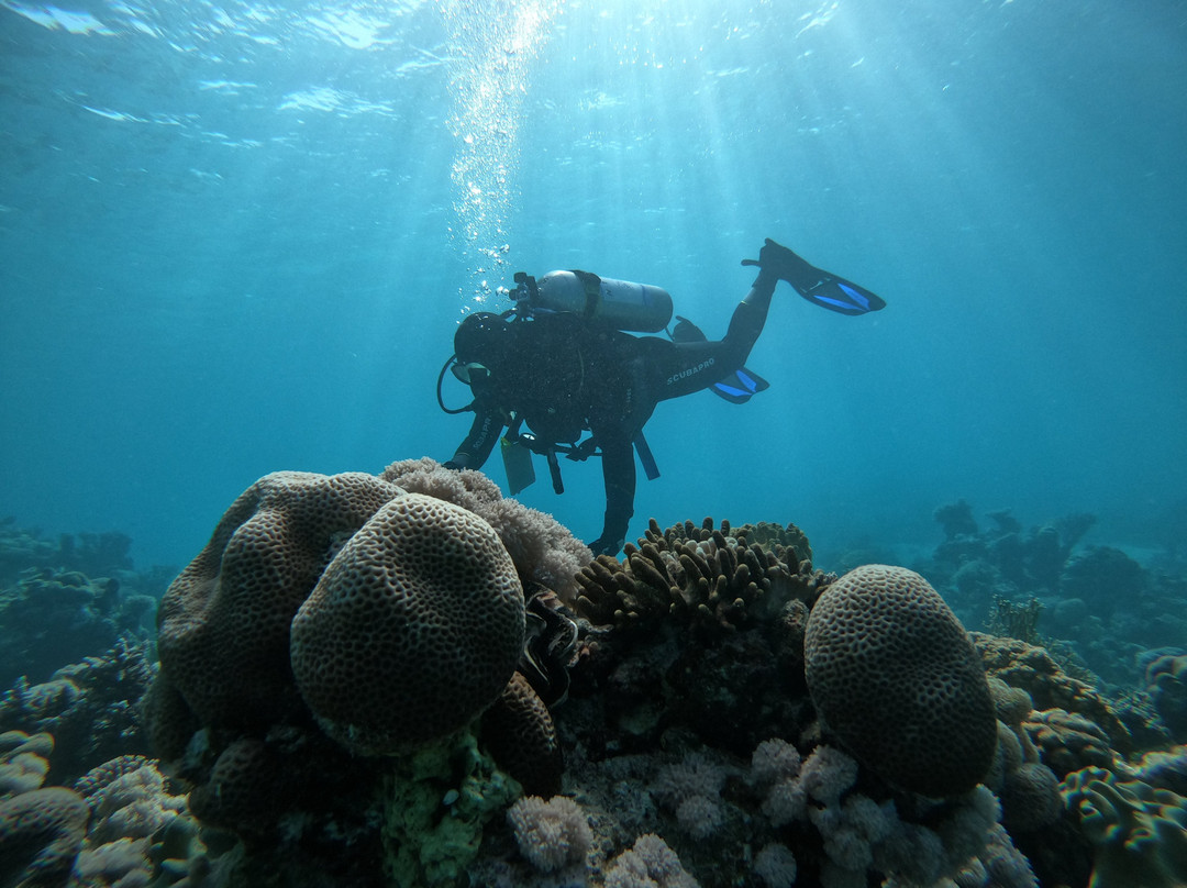 Saudi Diving Center景点图片