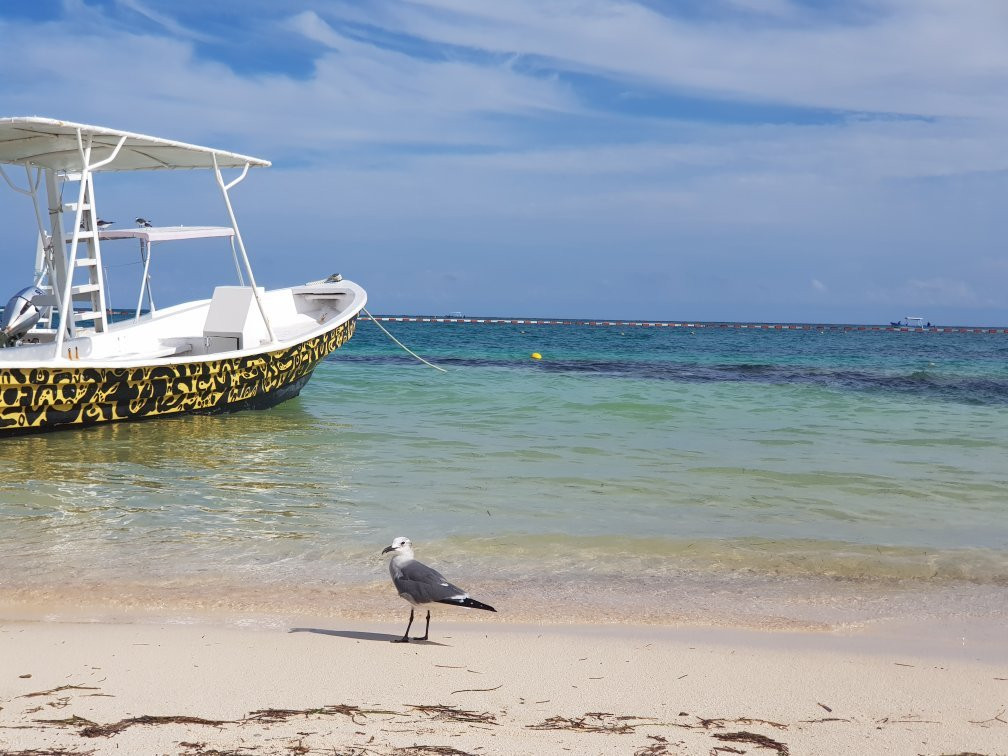 Faro de Puerto Morelos-从莫雷洛斯港必去景点