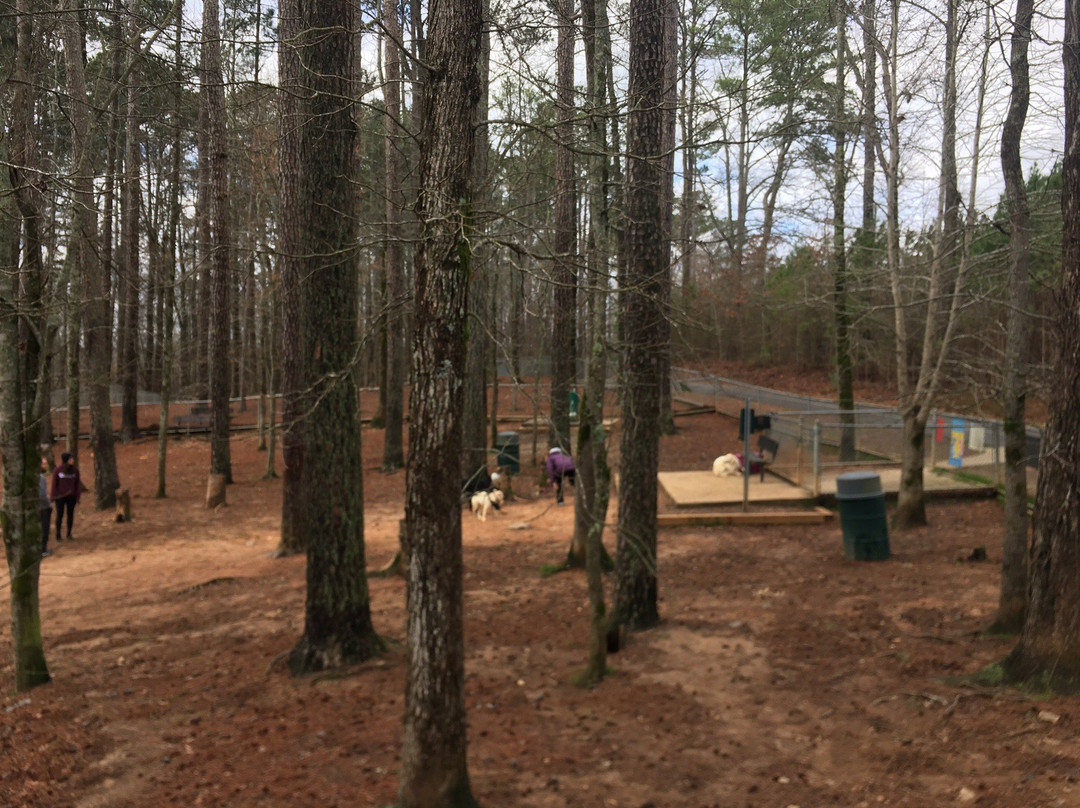 Fowler Park-卡明必去景点