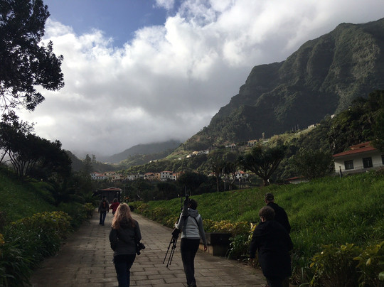 Madeira Wind Birds-沙尔必去景点