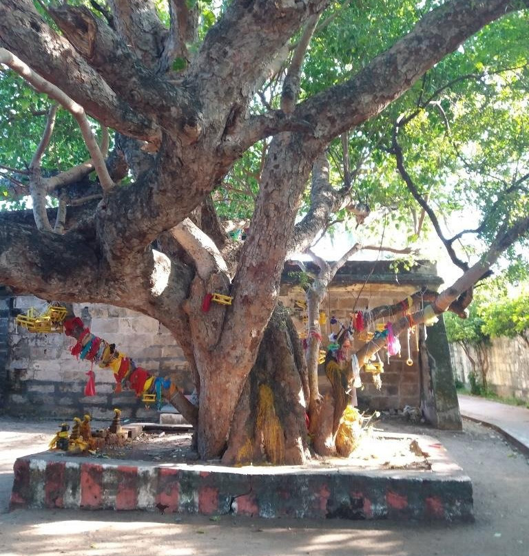 Adi Jagannatha Perumal Temple景点图片