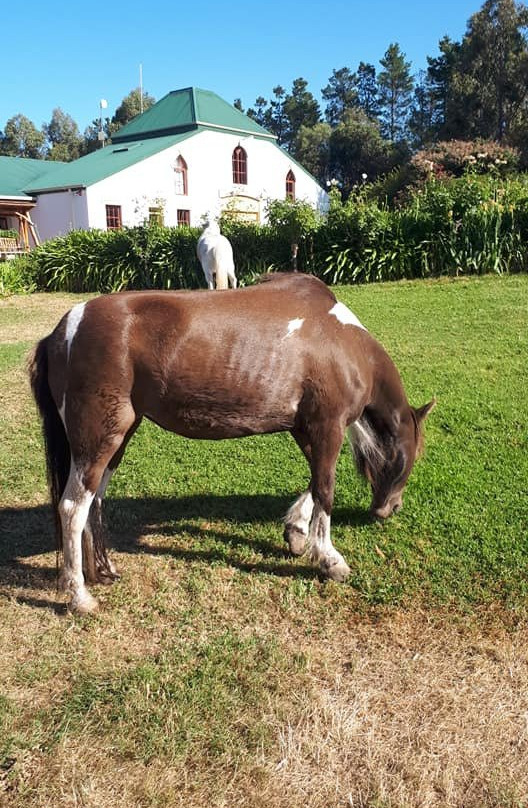 里士满哈克斯庄园酒店主图