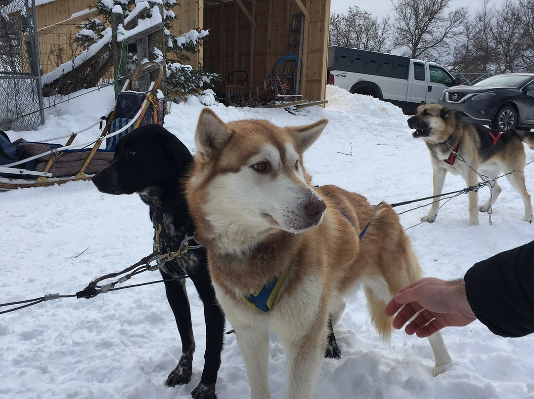 Ferme L'Aventure-Low必去景点