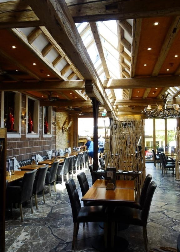 Meiser Altstadt Hotel主图