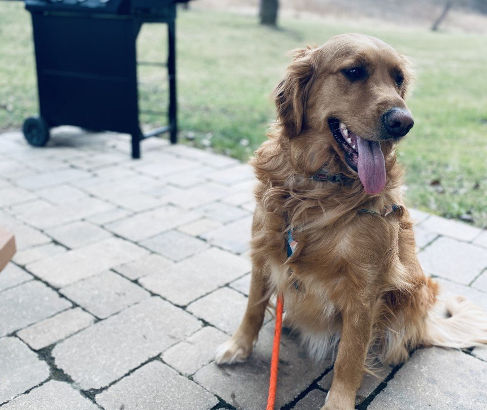 Super 8 by Wyndham St. Clairsville OH-Wheeling WV Area主图