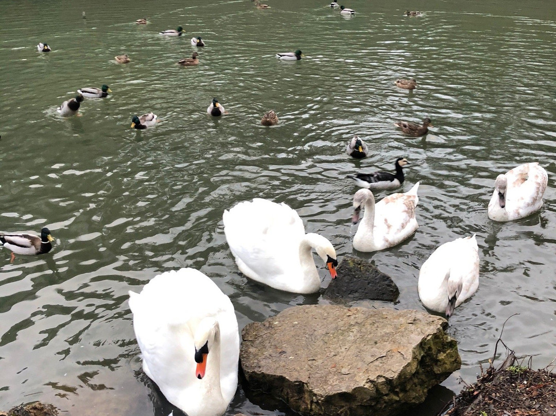 Kurpark Reinhardshausen-Bad Wildungen必去景点