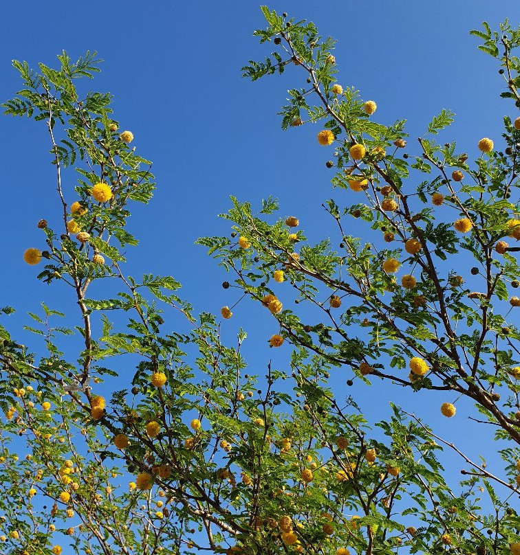Bassa Public Beach-海塞卜必去景点