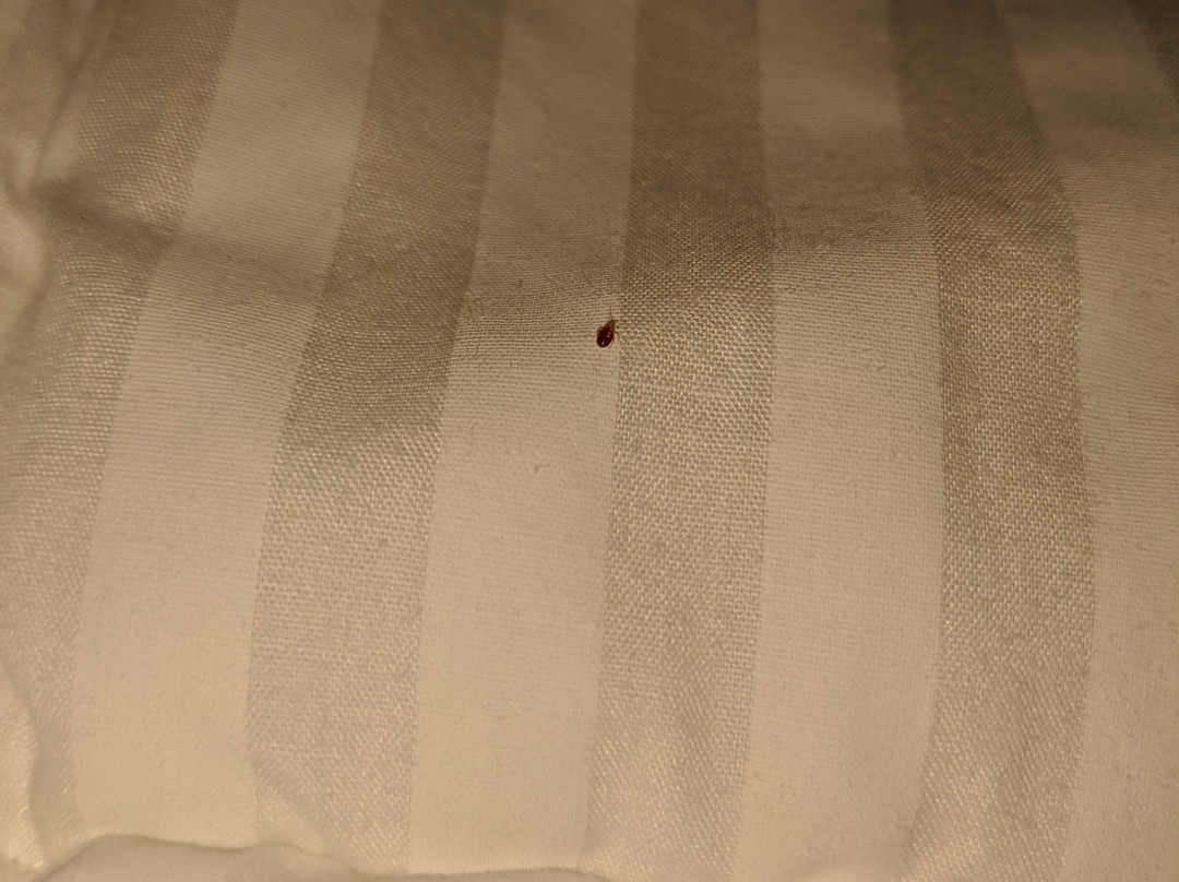 Fairfield by Marriott Inn & Suites Meridian主图