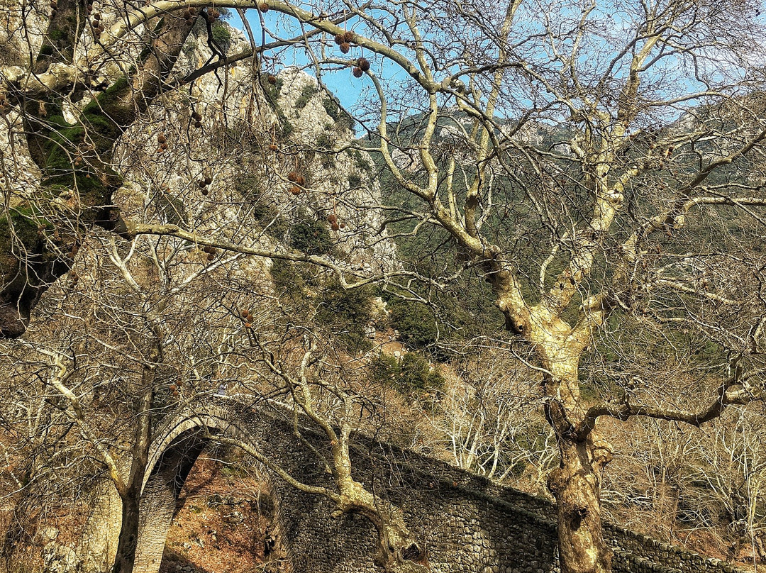 Stone Bridge Gate-Trikala必去景点