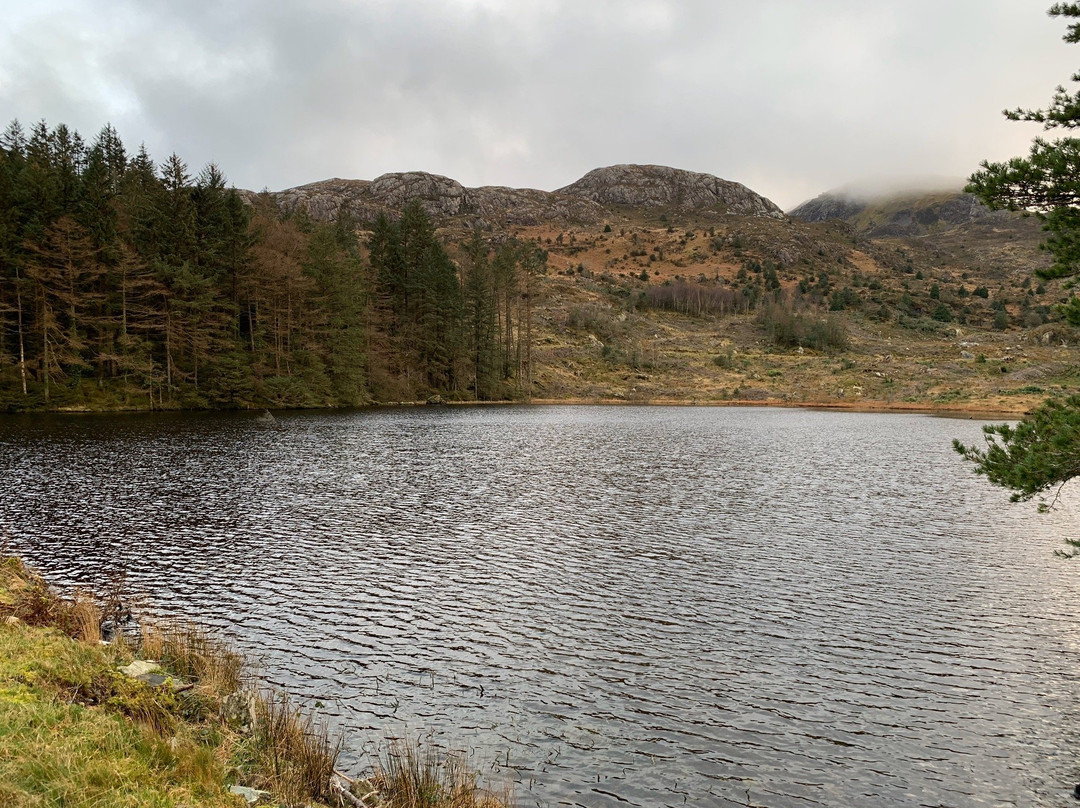 Beddgelert Forest景点图片