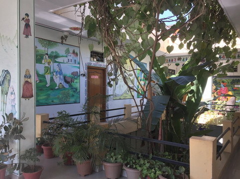 Rising Star Hotel主图