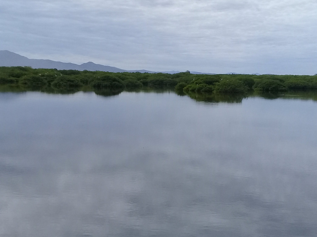 San Blas River-San Blas必去景点
