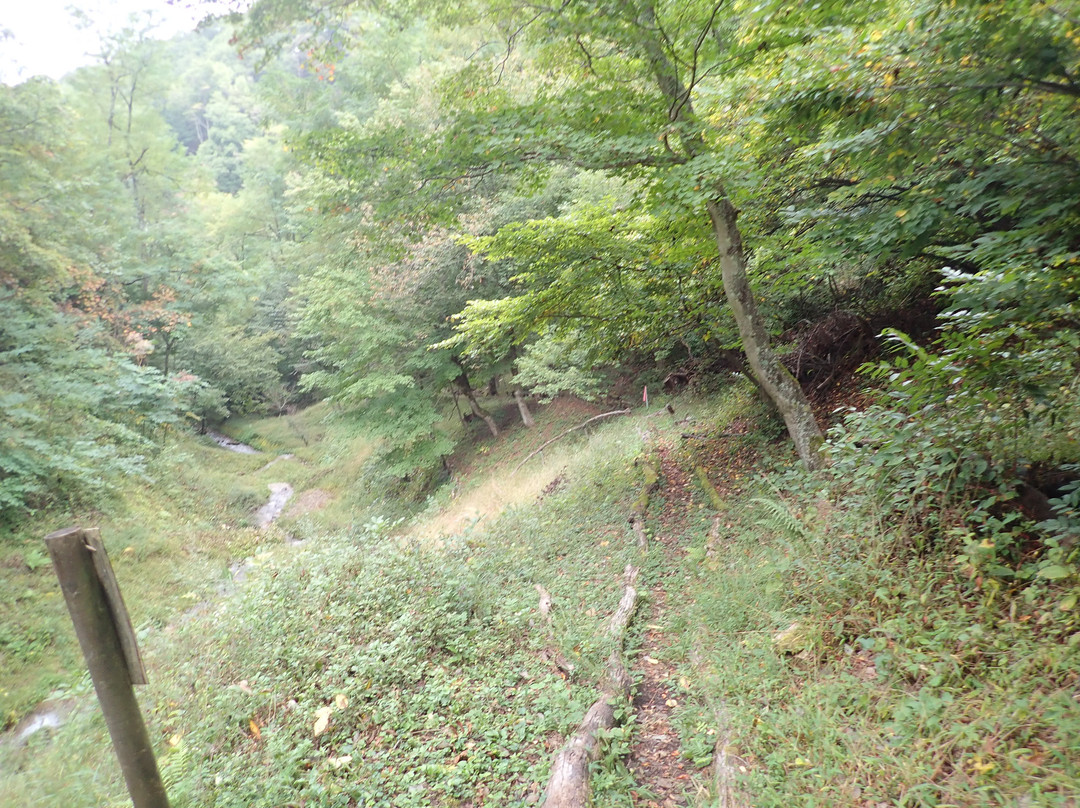Ushibuse River French style Stair Stepped-松本市必去景点
