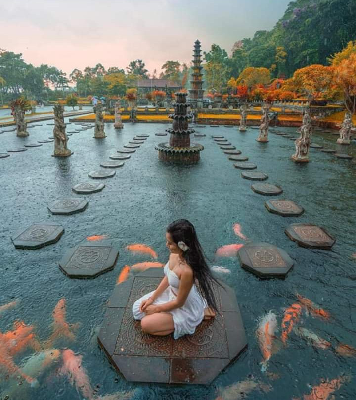Bali Transport Community景点图片