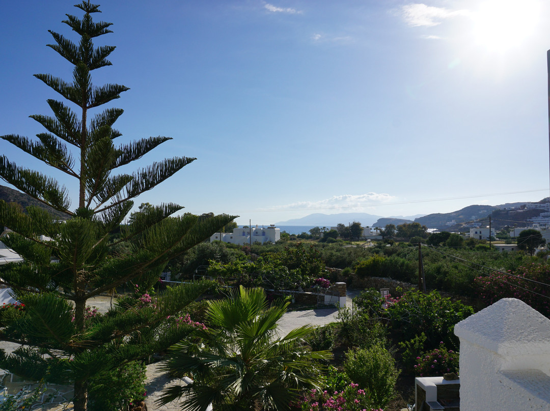 Island House Hotel主图