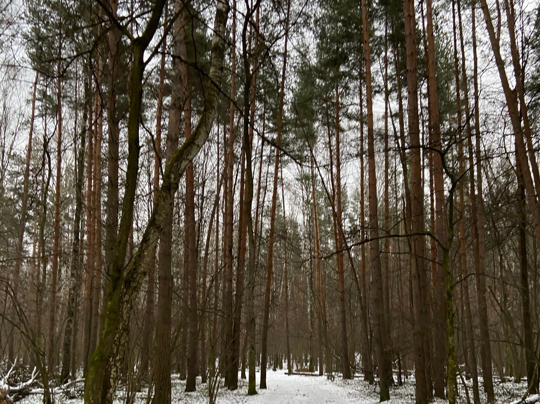 Losiny Ostrov National Park景点图片