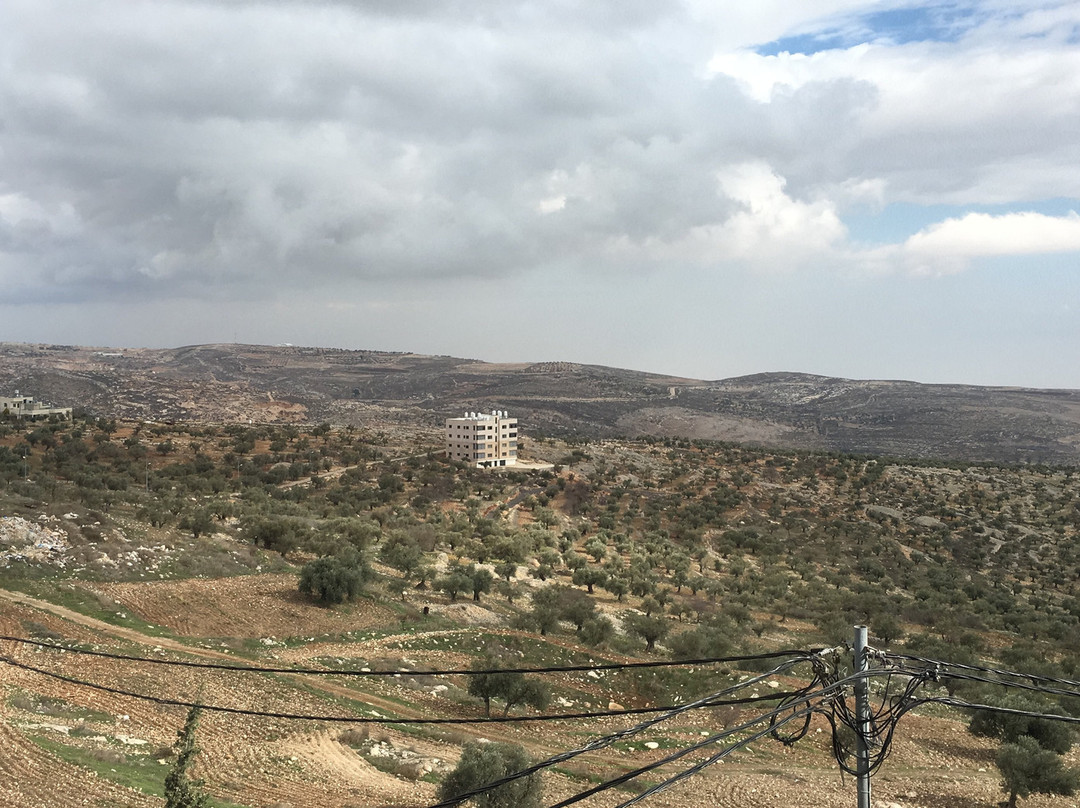 Taybeh Golden Hotel主图