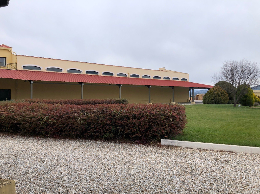 Château Nico Lazaridi Winery景点图片