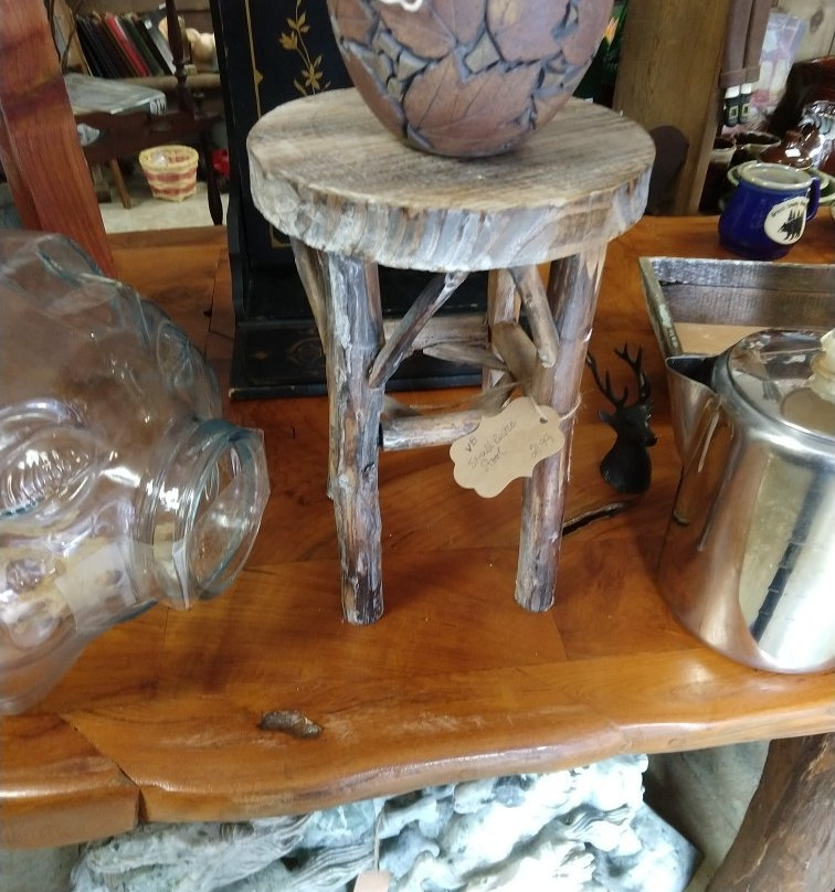 Treasure's Unknown-Sylva必去景点