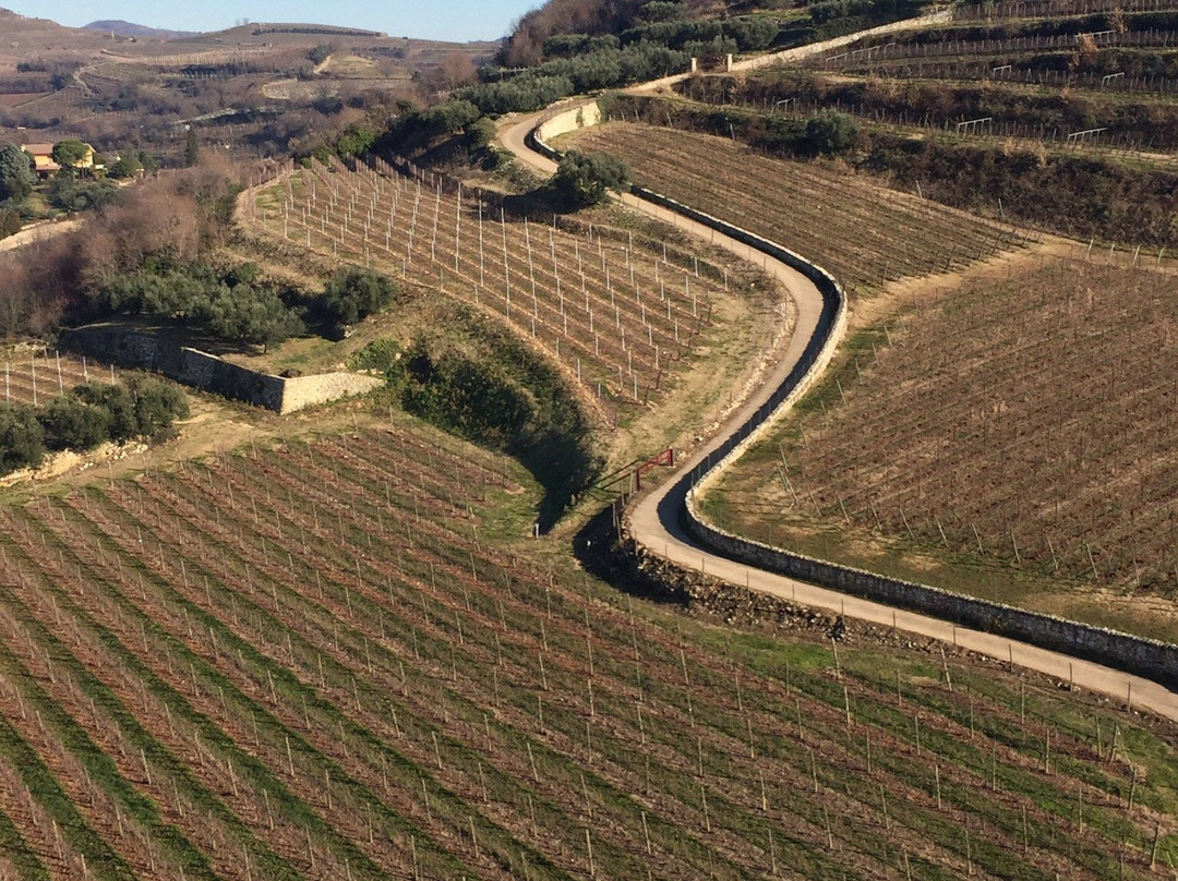La Finestra Sul Castello主图