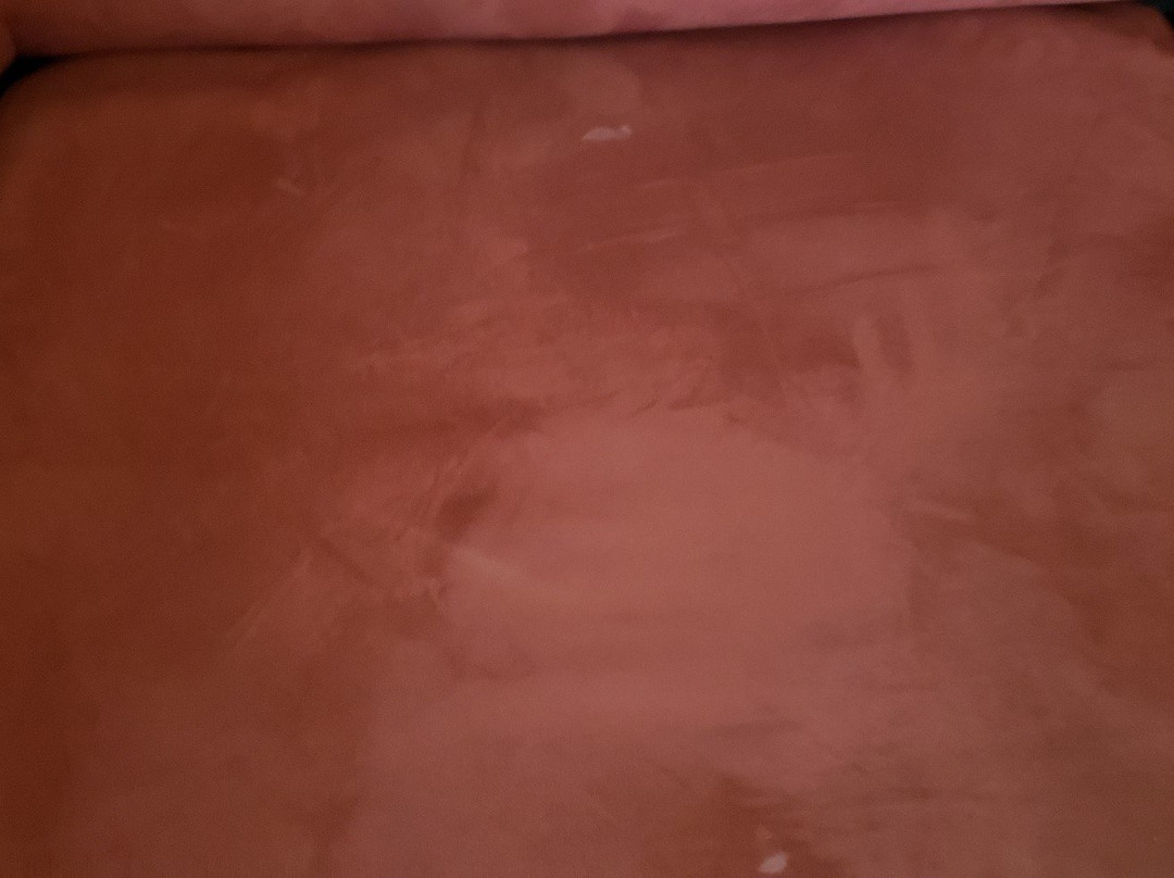 Hotel San Carlos Plaza, Beach & Convention Center主图