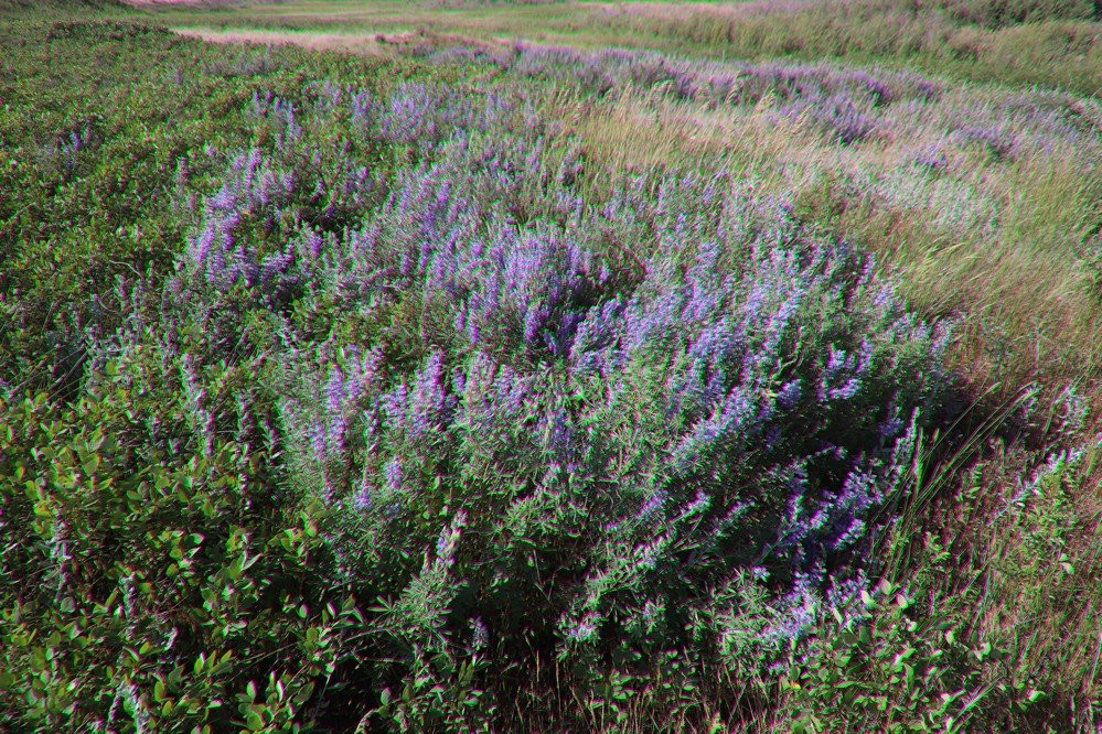 Bear Paw Battlefield-Chinook必去景点