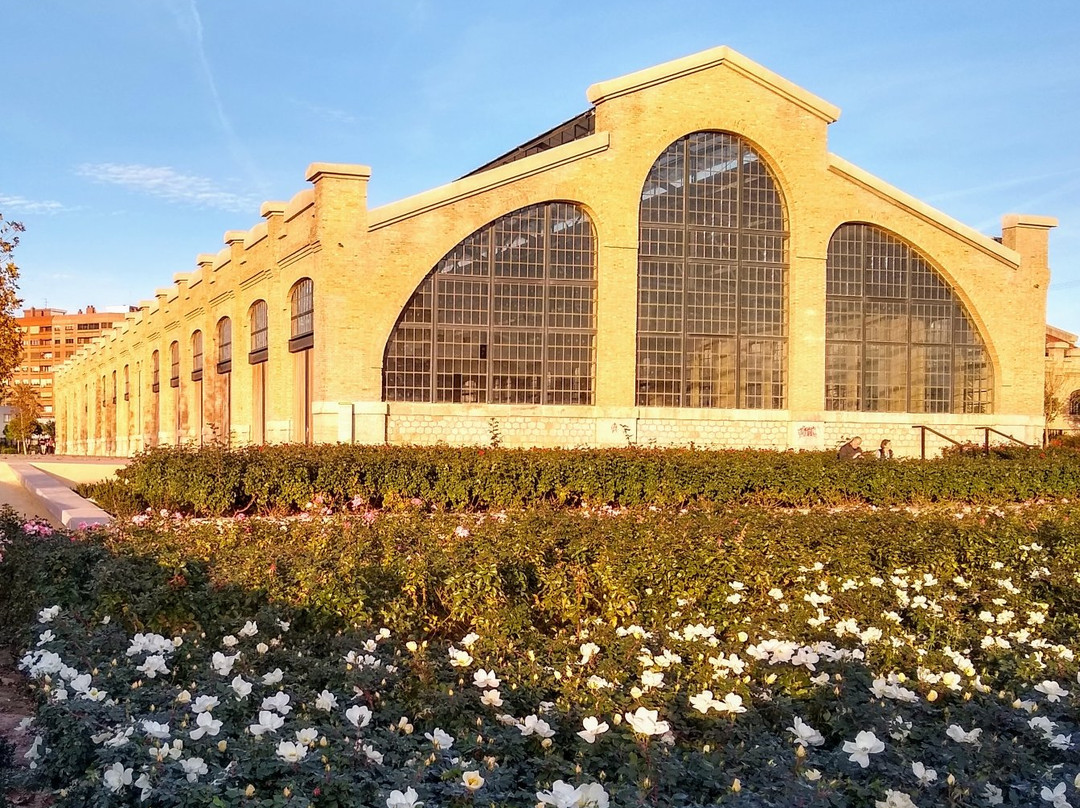 Parque Central-巴伦西亚必去景点