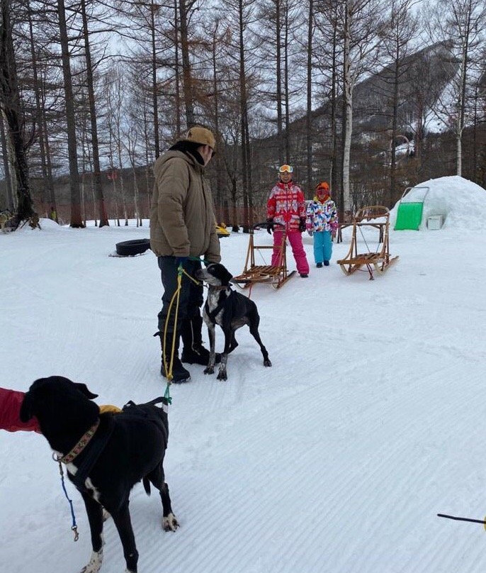 Rusutsu Lodges - Pension Lilla Huset主图