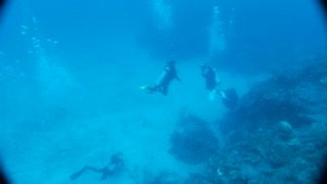 Pepe Dive Mahahual-Mahahual必去景点