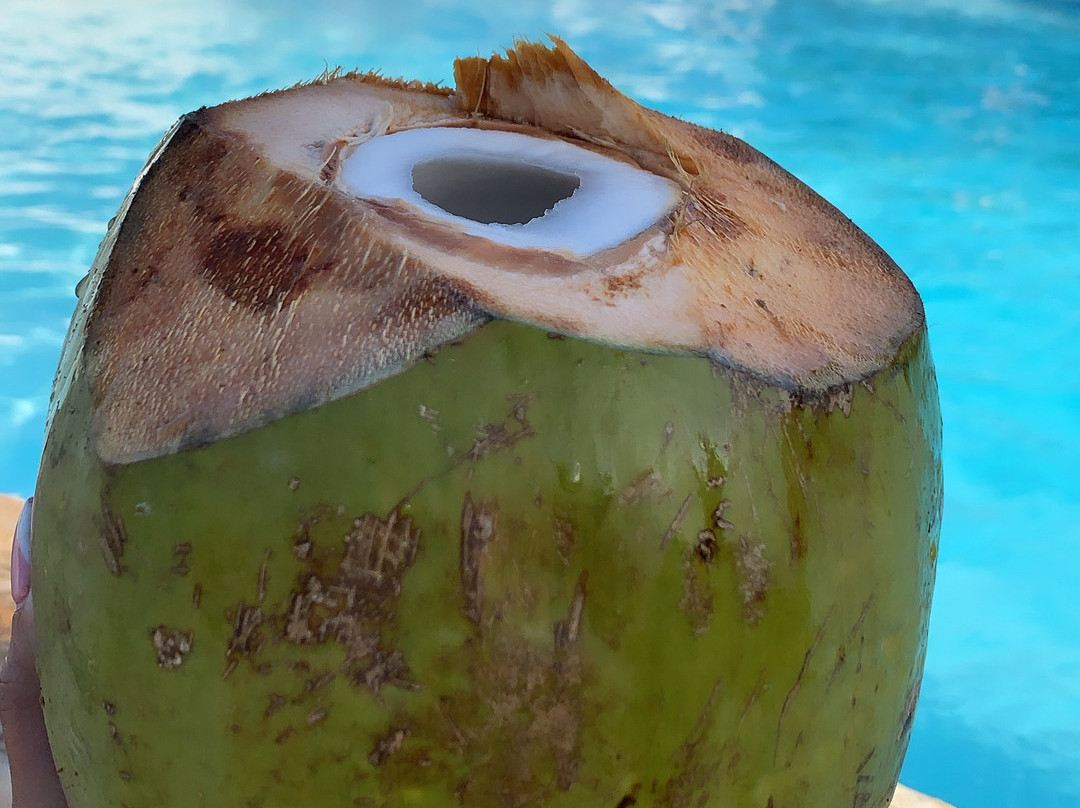 皇家优质套房酒店主图