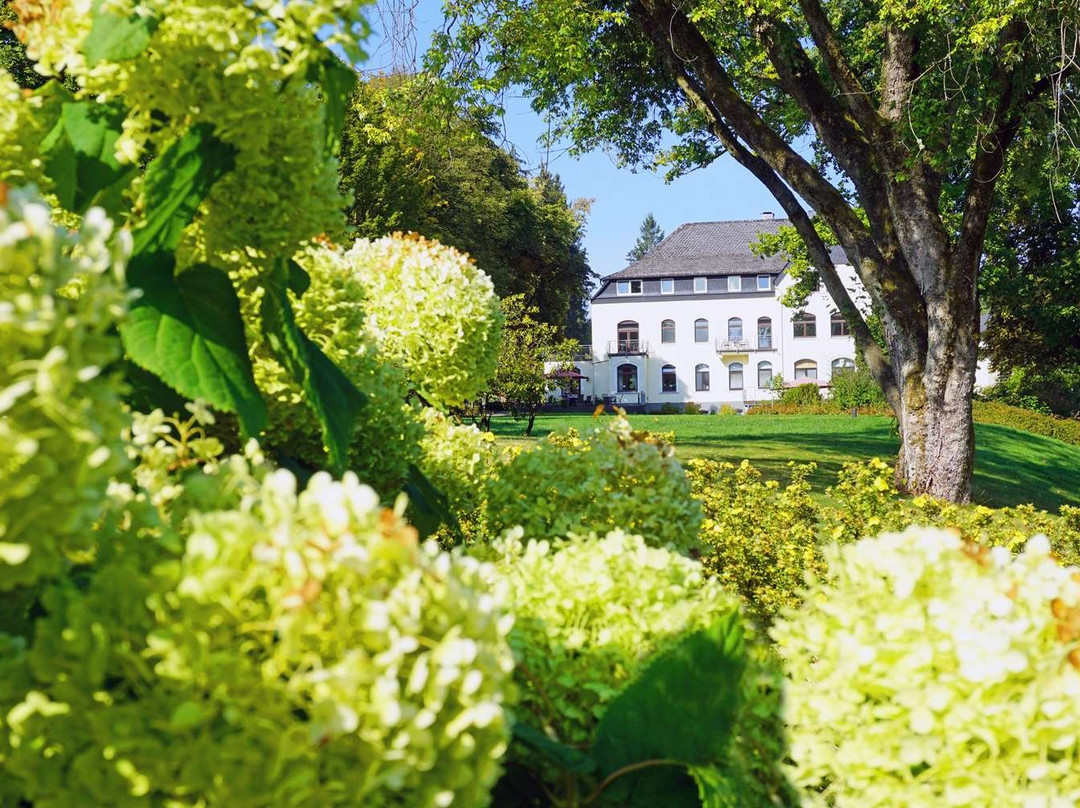 Dorint Parkhotel Siegen主图