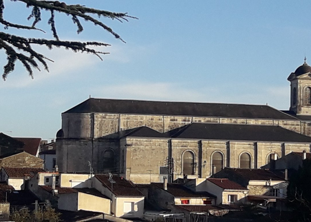 Eglise Saint-Vivien景点图片