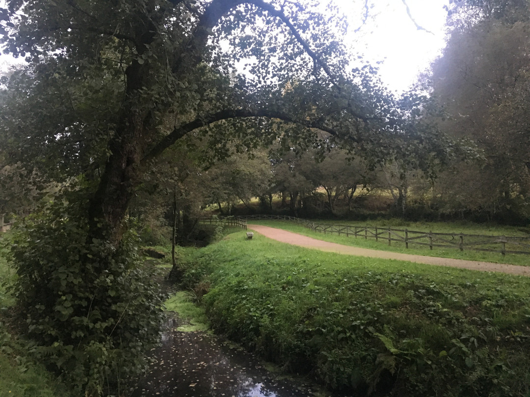 Pontonas Riverside Walk景点图片